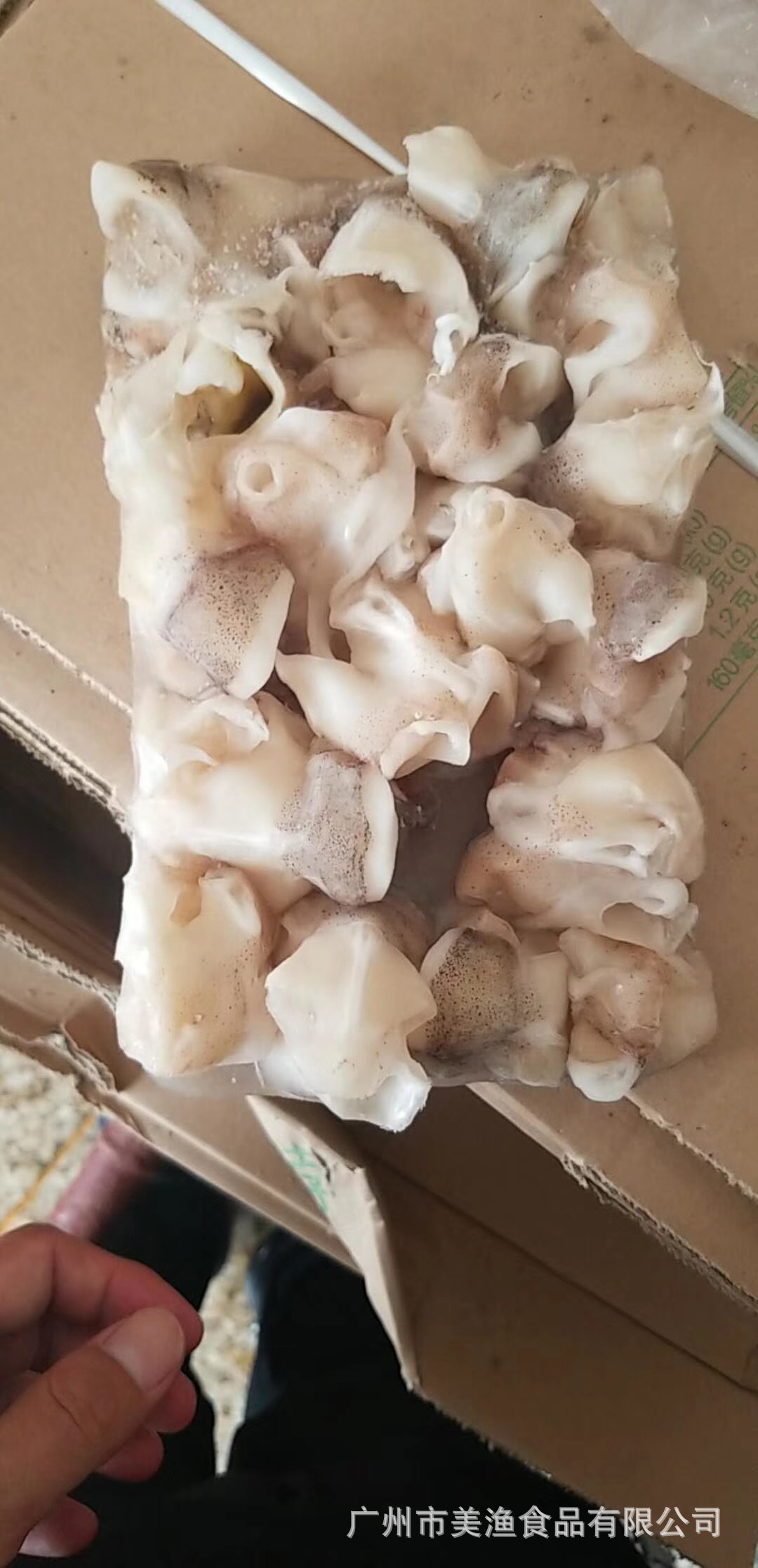 鱿鱼嘴鱿鱼颈冷冻墨目鱼嘴巴冷冻鱿鱼嘴海鲜铁板烧烤12斤