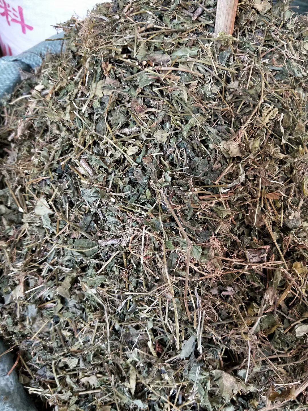 批发中药材甜绞股蓝每件500克