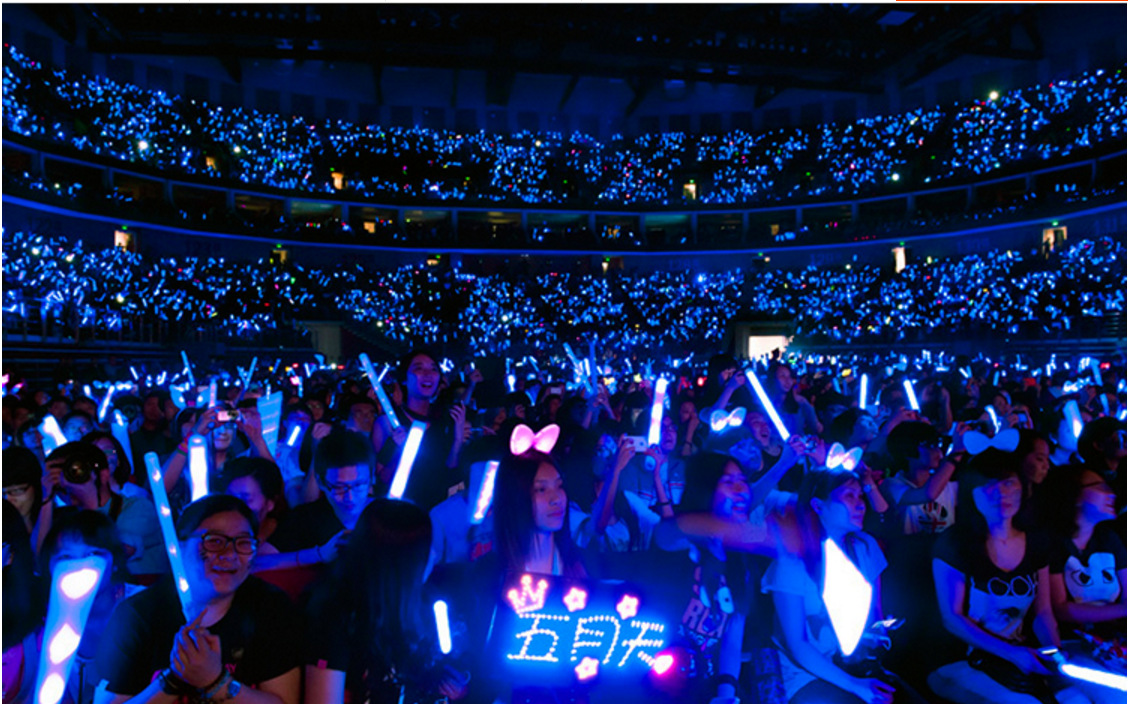 15色led分区遥控荧光棒 万人演唱会助威道具dmx点场控闪光发光棒