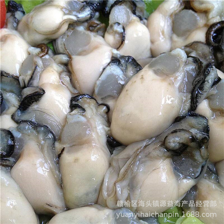 批发盒装生蚝肉 精选生鲜食材生蚝批发生蚝肉 当天现剥海蛎肉鲜活