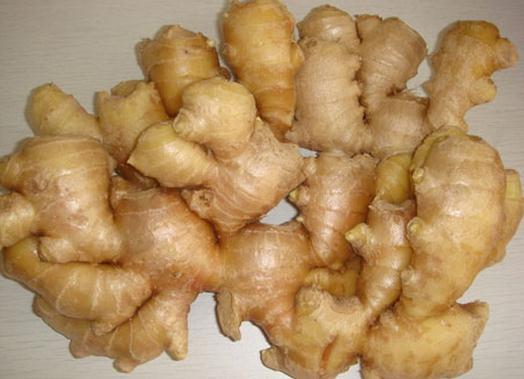 厂家批发供应姜酊 生姜酊 香料 原料 500ml/瓶