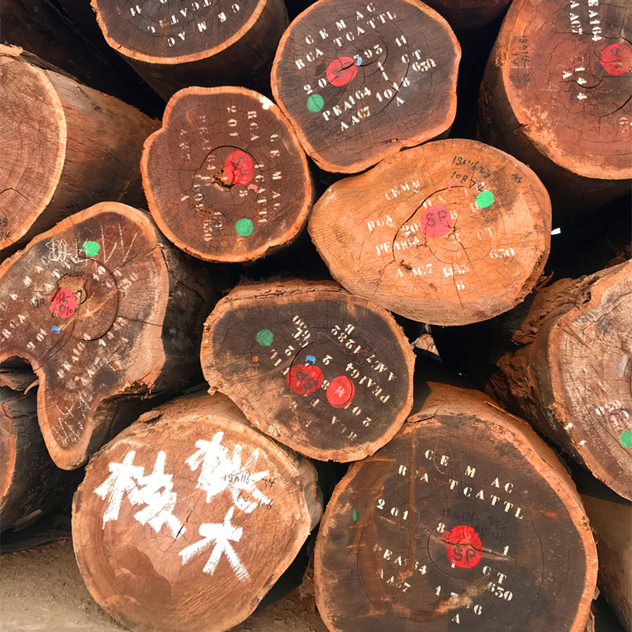 大量核桃木原木 黑胡桃板材 人面子家具地板工艺品旋切刨切木材