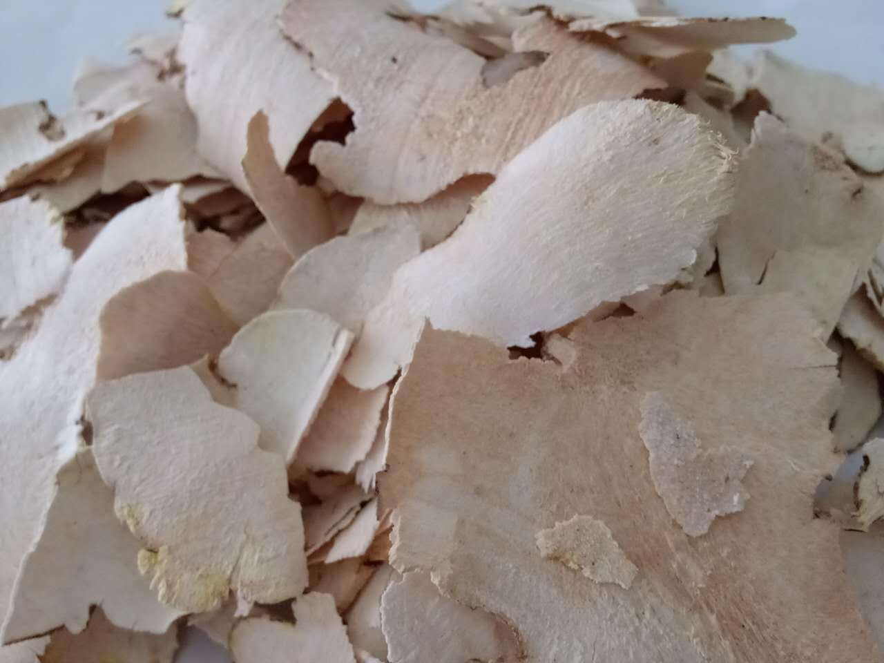 包邮 飒枫中药材 白土茯苓 冷饭团,硬饭头 大货批发 量大从优