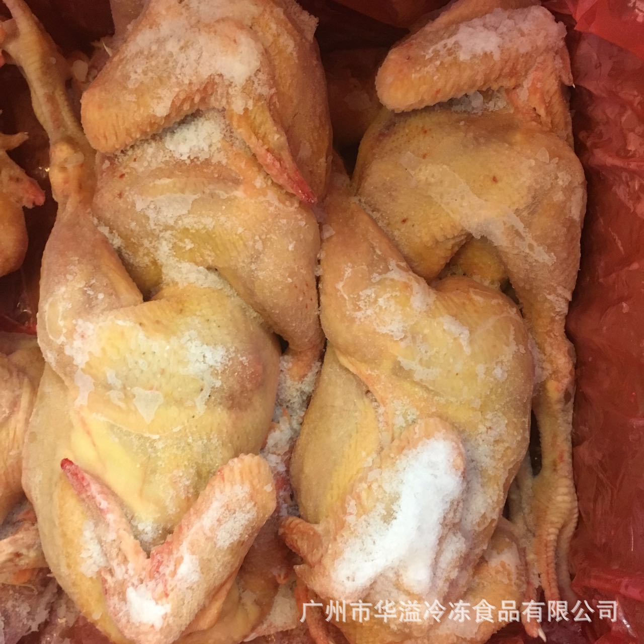 冻鸡 三黄鸡 春鸡 7只/20斤/箱 广州批发速冻三黄鸡 冰鲜春鸡