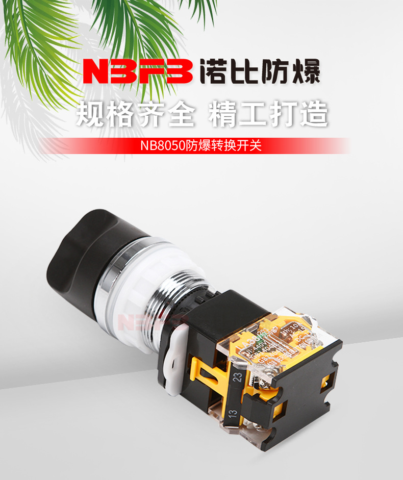 nb8050系列防爆转换开关电源转换开关按钮转换开关防爆开关