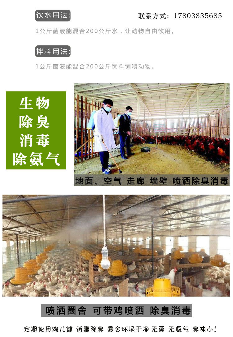 鸡用益生菌