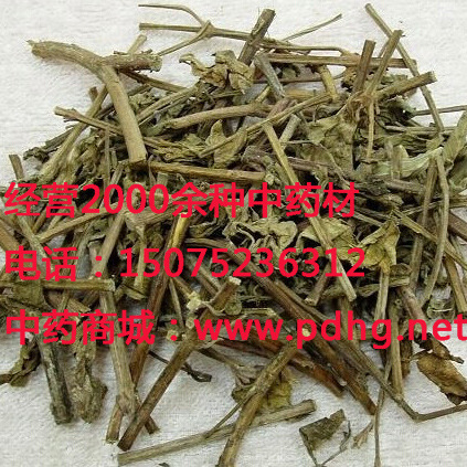 肾茶别名猫须草猫须公中药材唇形科植物猫须草的全草