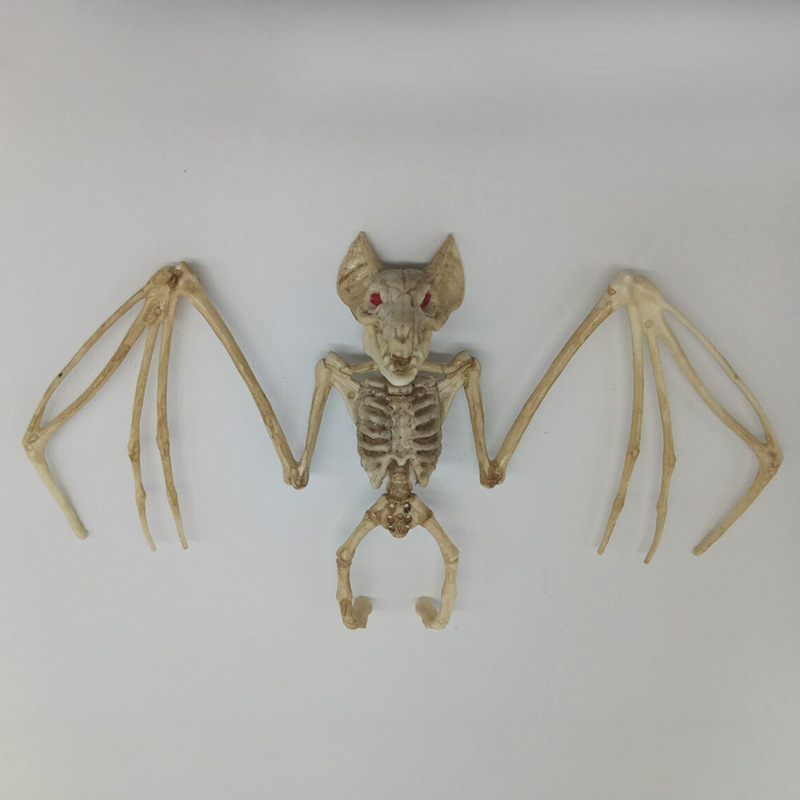 蝙蝠骨架 新款万圣节整蛊装饰道具蝙蝠骨架 逼真恶搞动物骨架-阿里巴