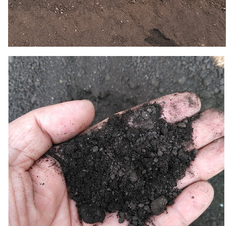 天津厂家直销高温腐熟鸡粪|植物通用型鸡粪有机肥|膨化鸡粪有机肥