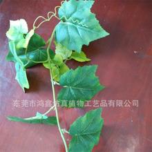 仿真藤条葡萄叶藤仿真植物花藤壁挂房顶吊顶装饰假叶子仿真绿藤图片