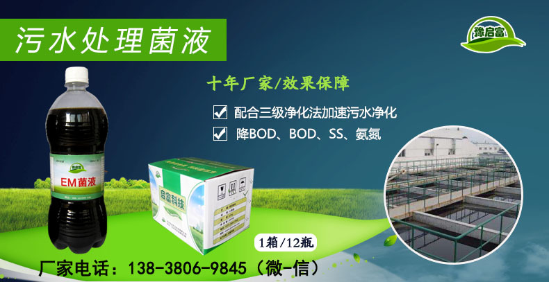 污水处理菌液菌种