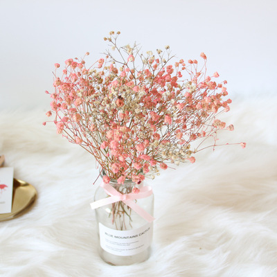 北欧干花花束家居摆设小清新淡雅天然风干文艺室内创意装饰真花