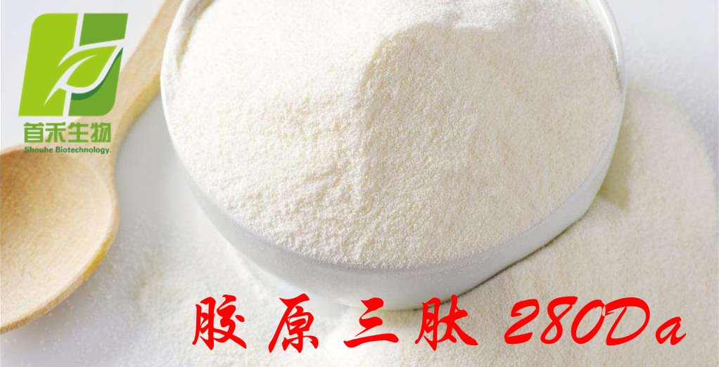 胶原三肽280da胶原三肽鱼胶原三肽小分子胶原蛋白