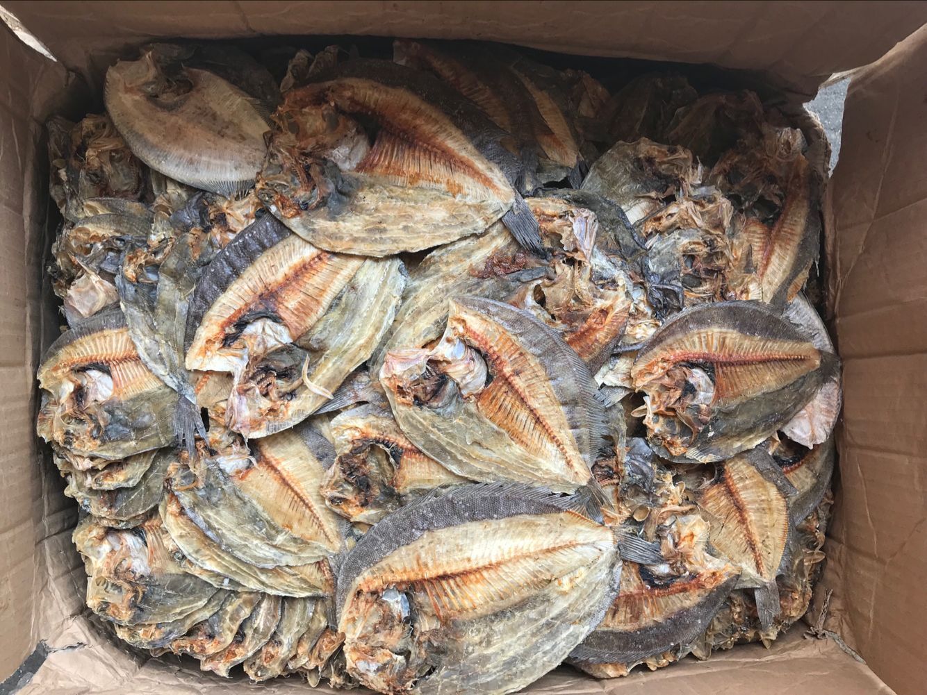 海鲜干货大地鱼干 地鱼干 干度好大地鱼粉地鱼干(每件为20公斤)