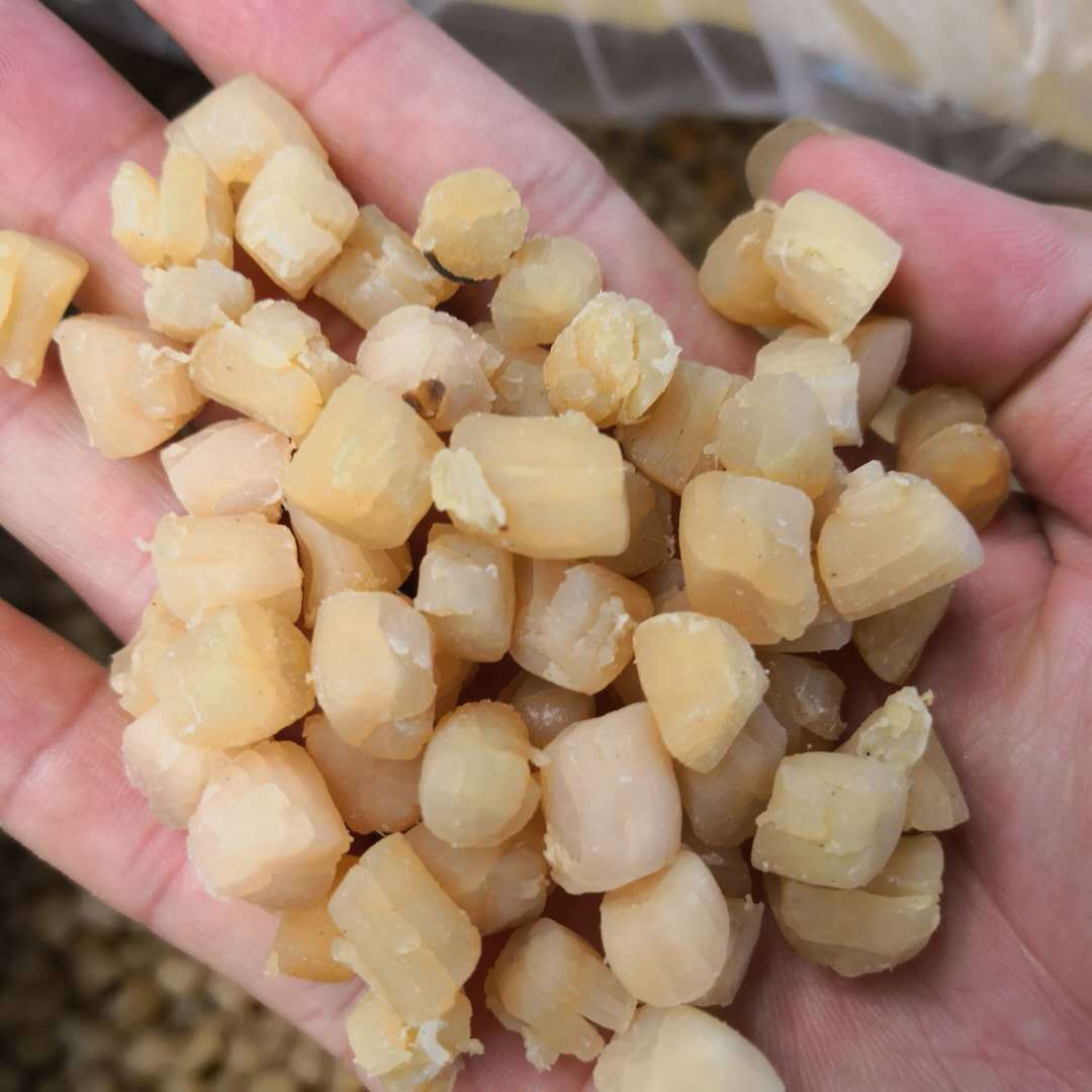易芝堂福建山东大连海鲜干货淡干贝瑶柱干扇贝干海味干货批发干贝