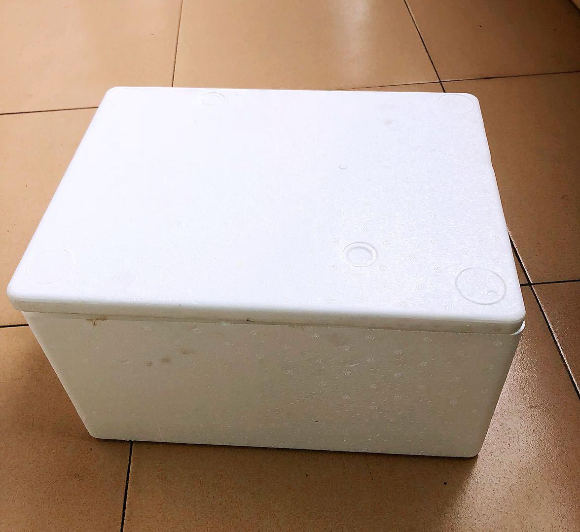 羊肉保温泡沫包装箱 蔬菜水果泡沫箱生鲜螃蟹箱快递泡沫箱定 制