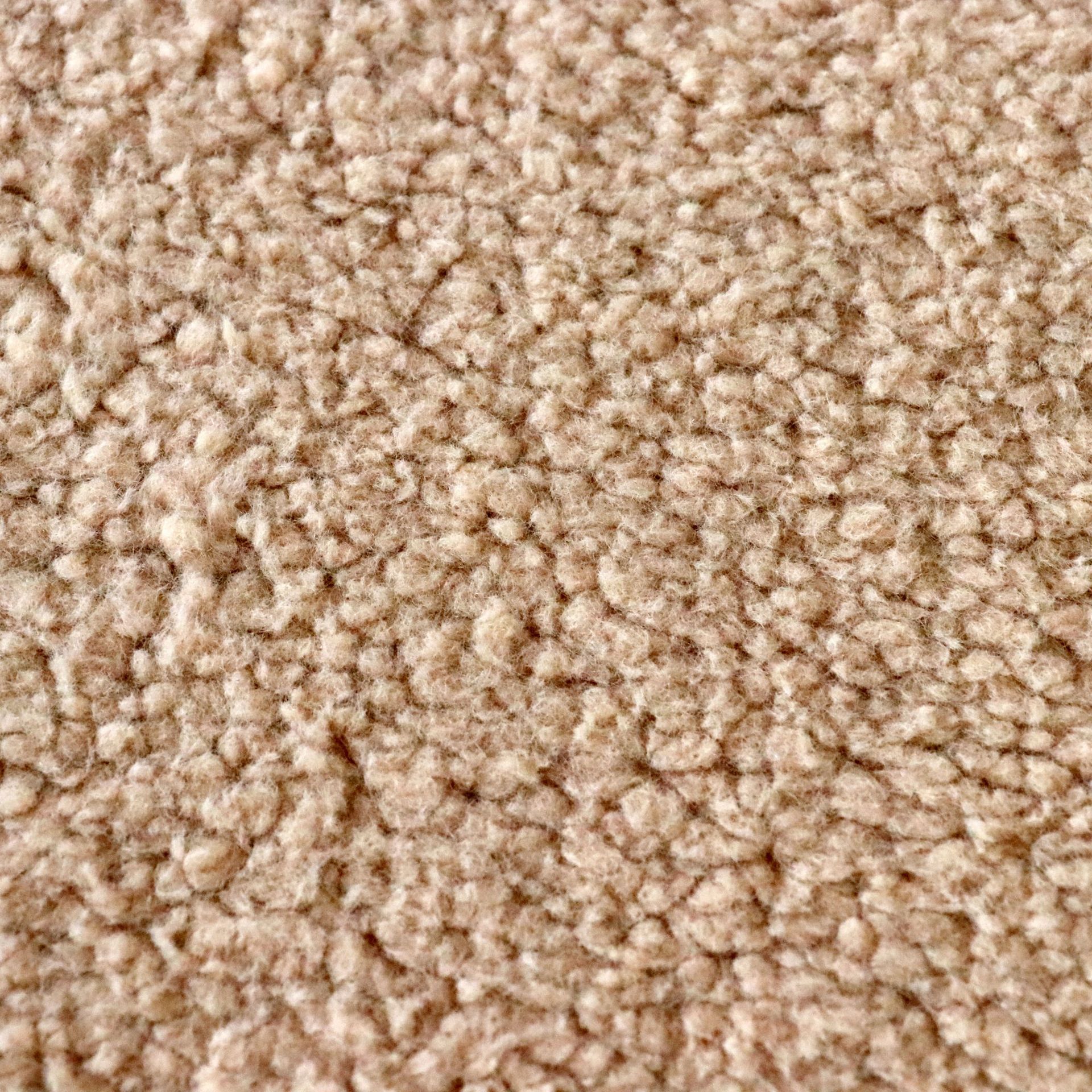 厂家直供 仿棉花绒舒棉绒双面 针织绒布服装玩具家纺面料