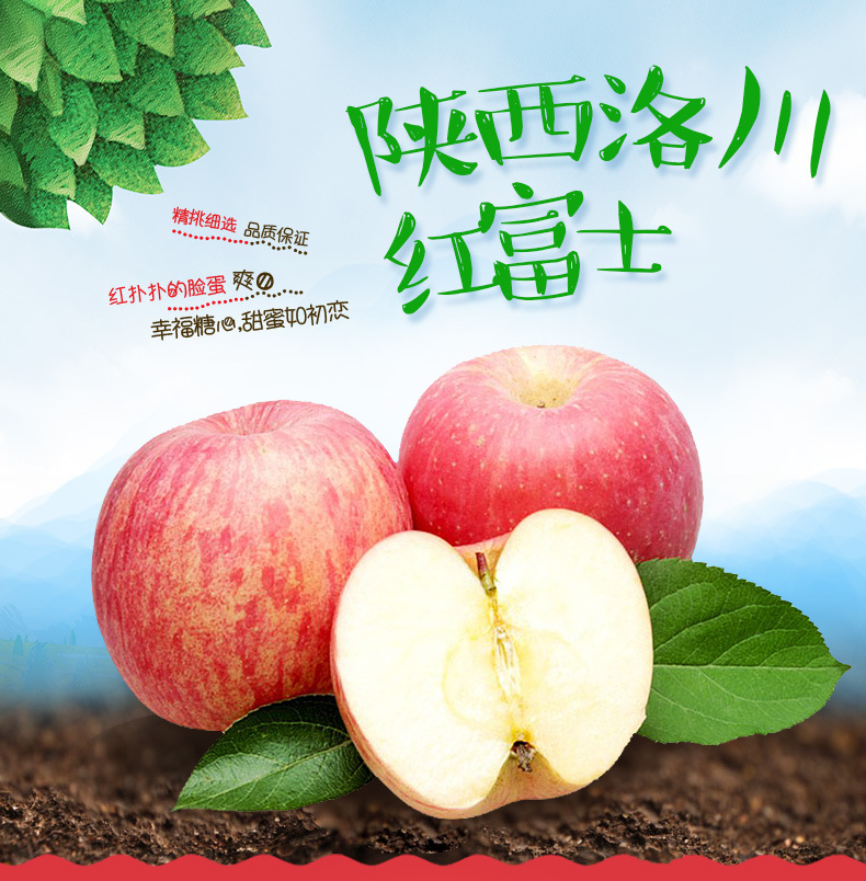 现货陕西红富士红苹果5斤精品新鲜水果洛川苹果一件代发脆甜多汁