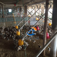 鸭棚料线自动化养鸭料线专用自动喂鸭线肉鸭自动料线喂鸭自动下料