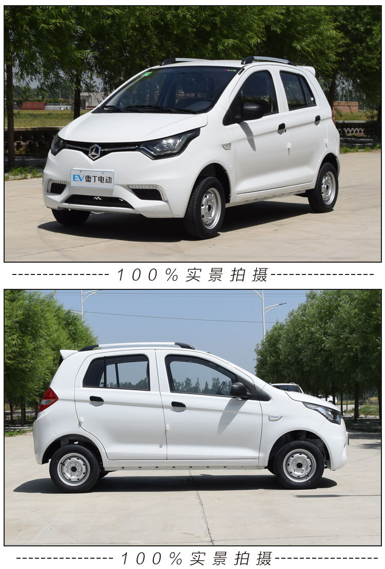 雷丁d70电动四轮车成人电动汽车轿车油电两用代步车新能源观光车