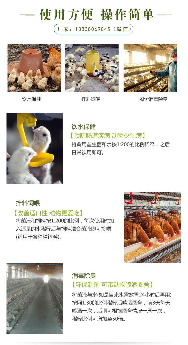 禽用益生菌使用方法
