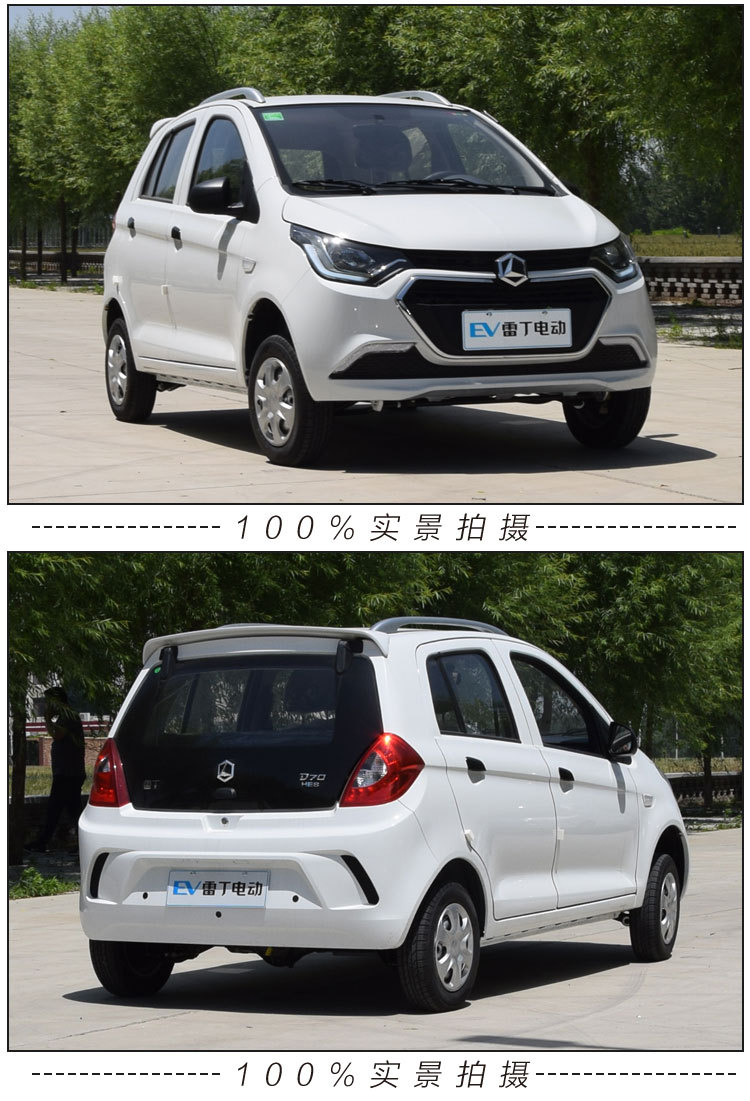 雷丁d70电动四轮车成人电动汽车轿车油电两用代步车新能源观光车