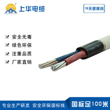 厂家直供地埋路灯线 两芯路灯线VLV2×25 VLV22 2×35电力电缆