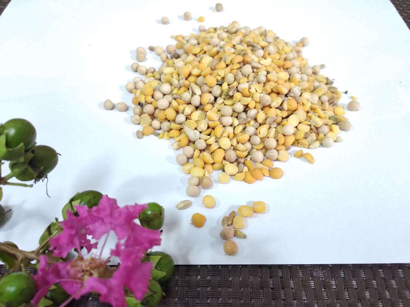 厂家批发豌豆纤维 烘干豆渣 原料豌豆皮 豌豆饲料散装