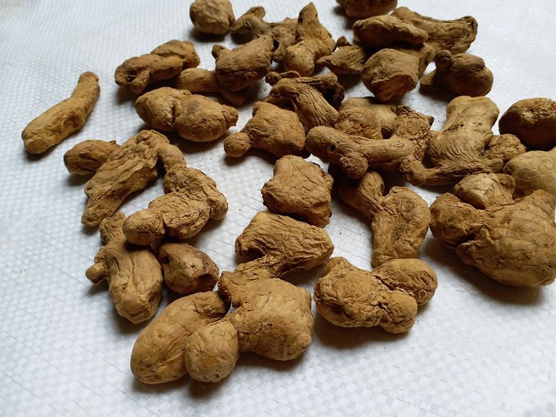 批发大货 炮姜 干姜 干姜粉 专营各种中药材粉剂 面膜粉 兽用粉