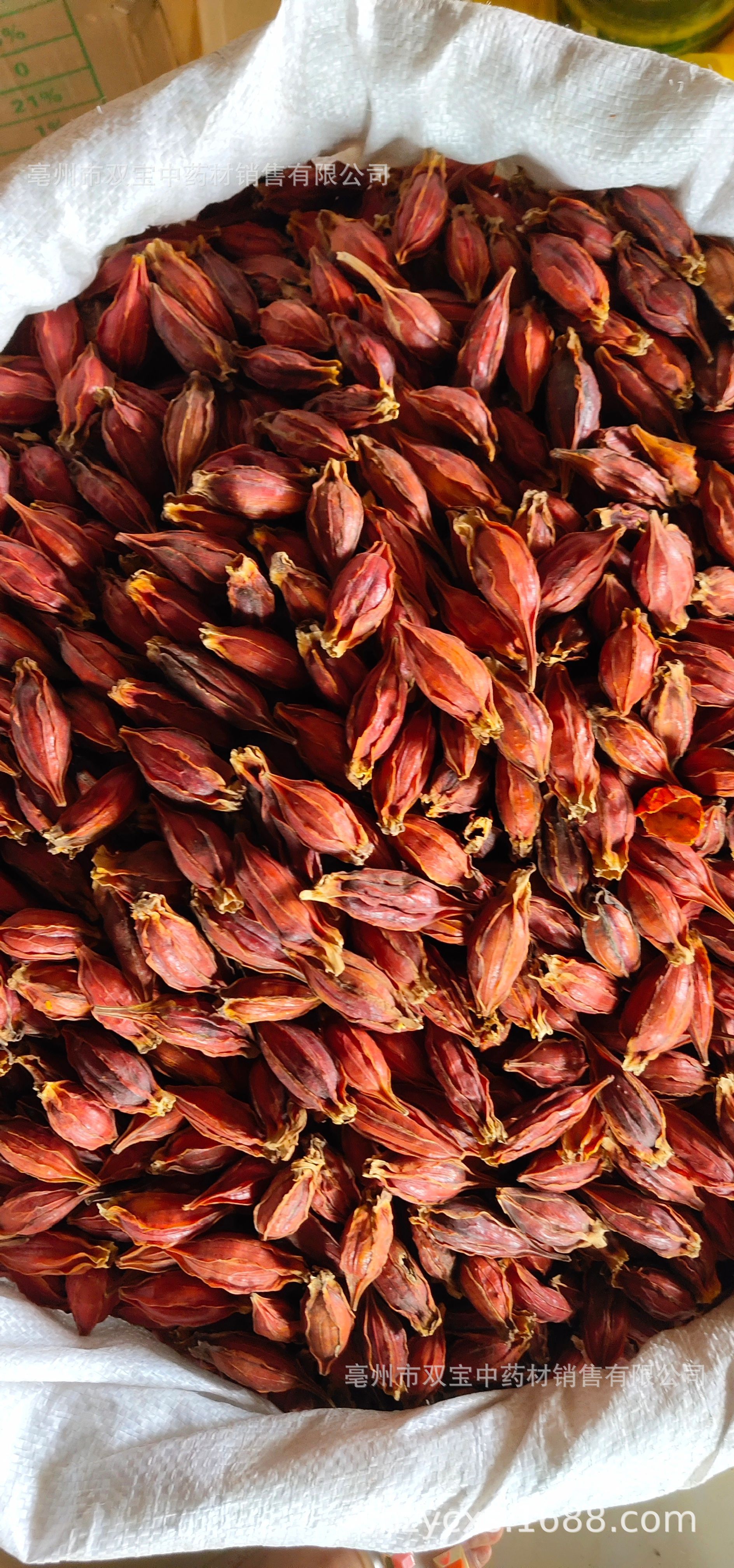 双宝供应散装 江西红栀子 山栀子 水栀子 枝子茶各种规格栀子大货