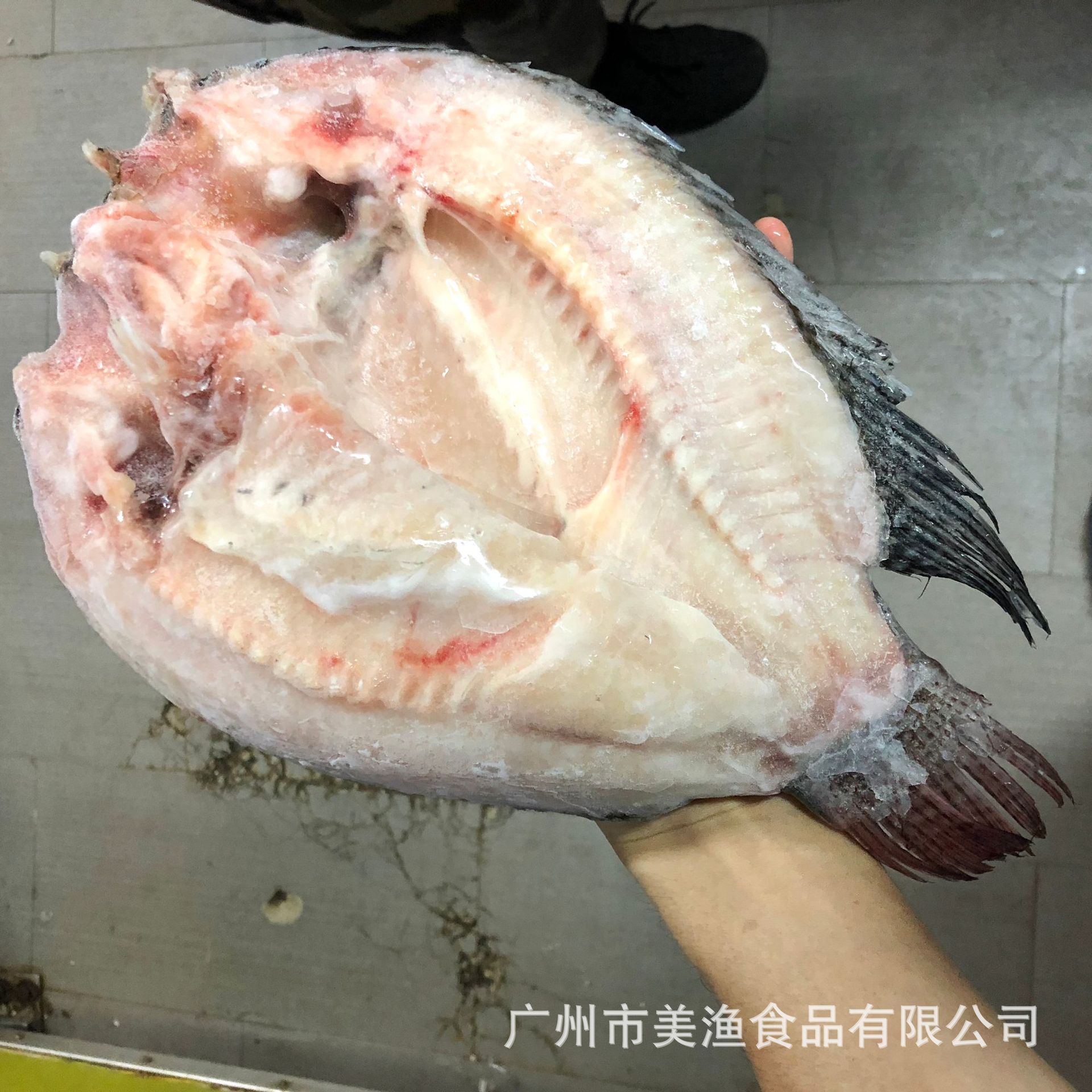 冷冻开背罗非鱼 非洲开边鲫鱼三去鱼 烤鱼食材 300-800g/条 10kg