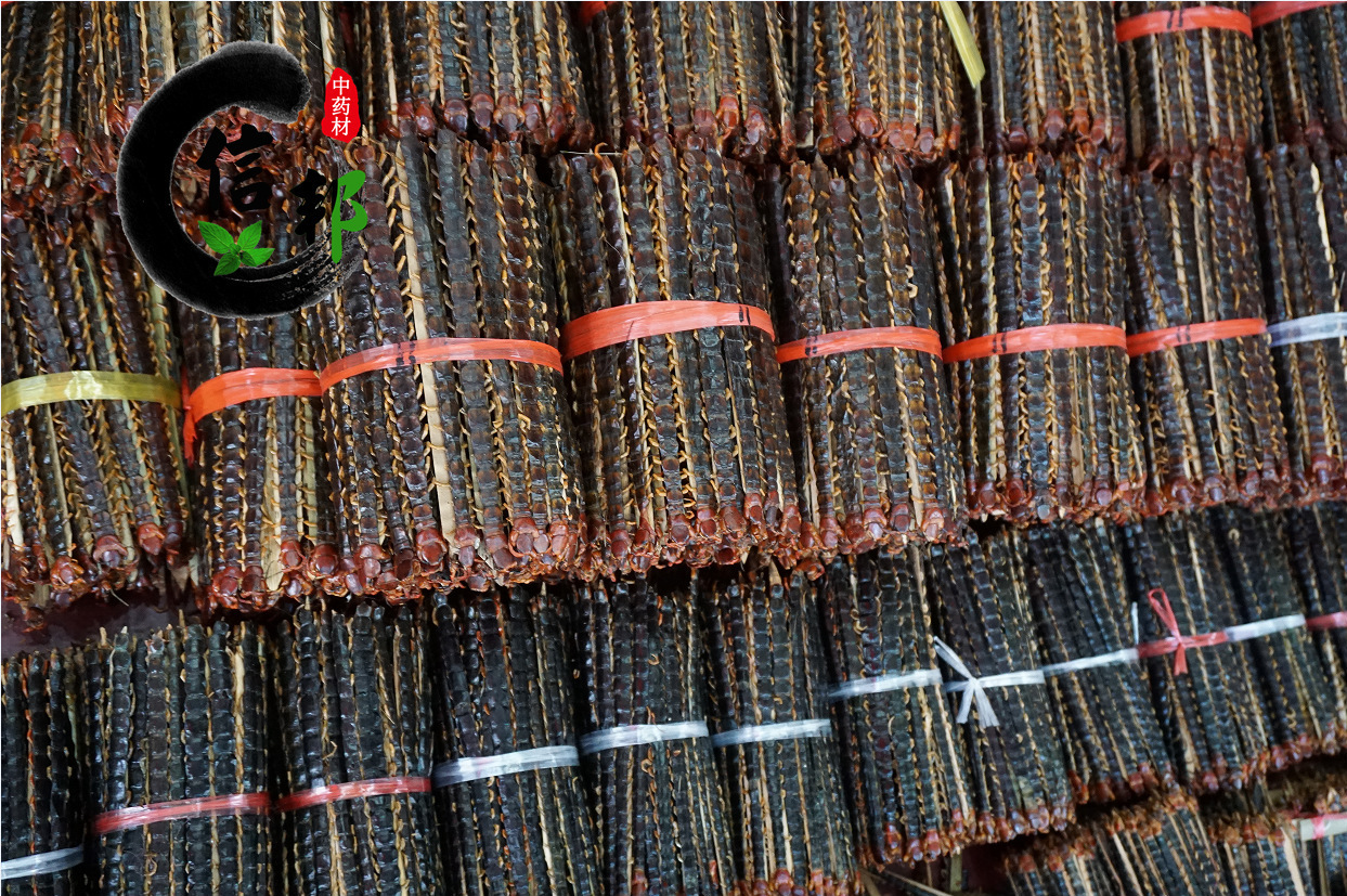 否 原产地 越南 售卖方式 食用农产品 主要原料 红蜈蚣 产品剂型 原型