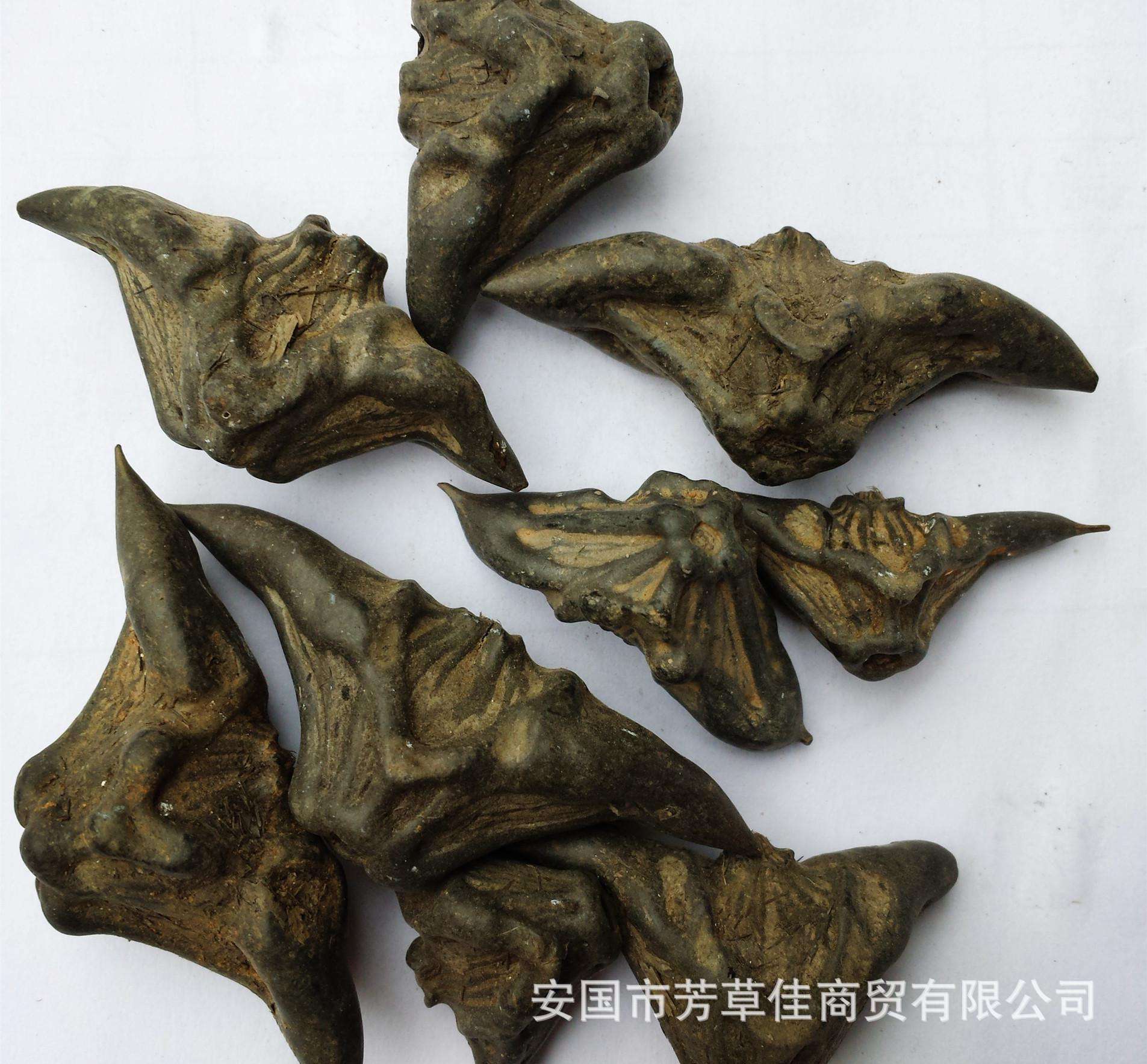 批发铁棱角 铁拳头 四角薄茶 溪薄荷