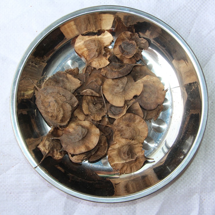 紫檀新采印度小叶紫檀种子 印度紫檀木种子 檀香紫檀种子 包发芽