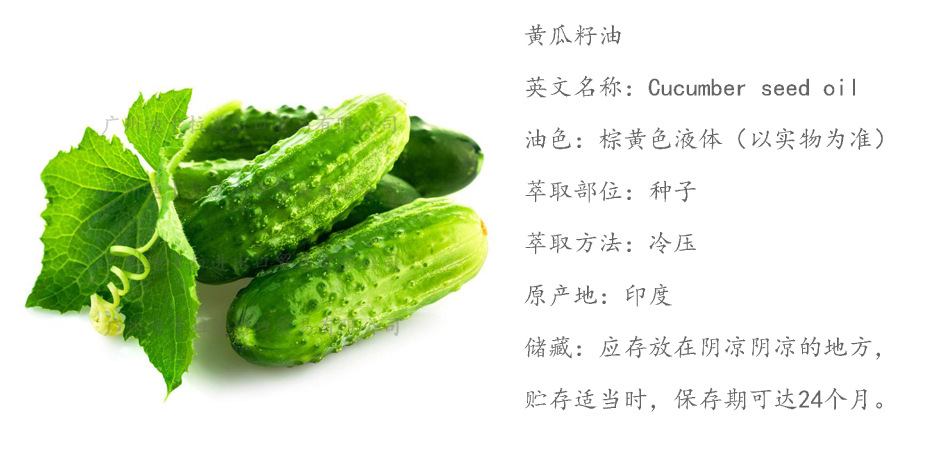英国 初榨黄瓜籽油 青瓜籽油 cucumber oil 芳疗级 100ml起订