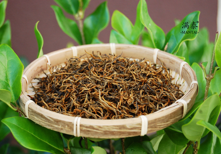 云南凤庆滇红茶 金丝 芽尖 甘露金芽红 老品种滇红茶 500克散茶