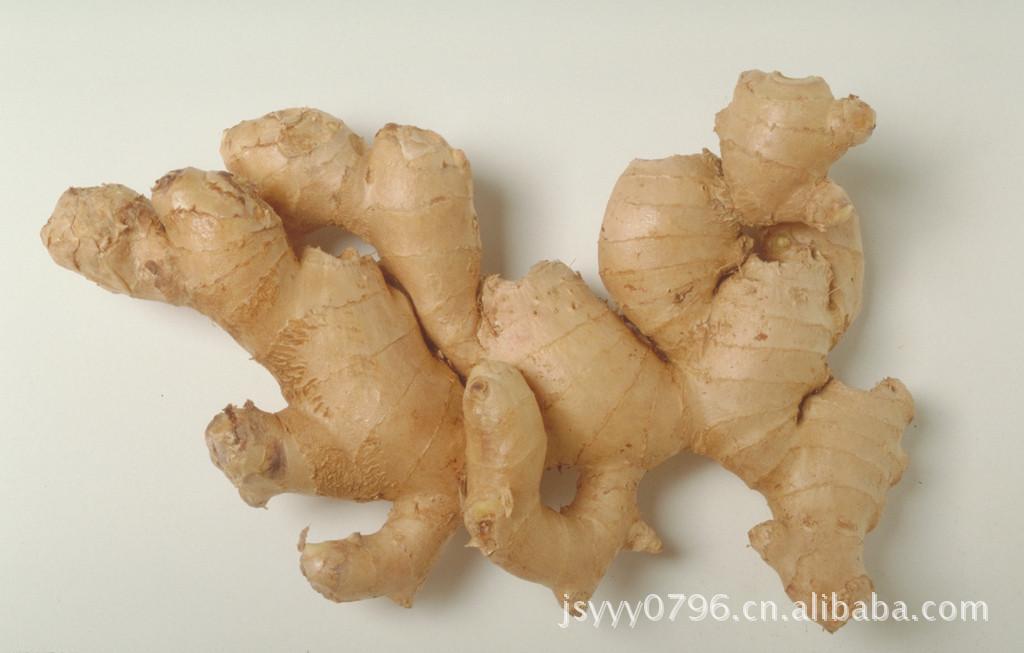 厂家批发供应姜酊 生姜酊 香料 原料 品质保证