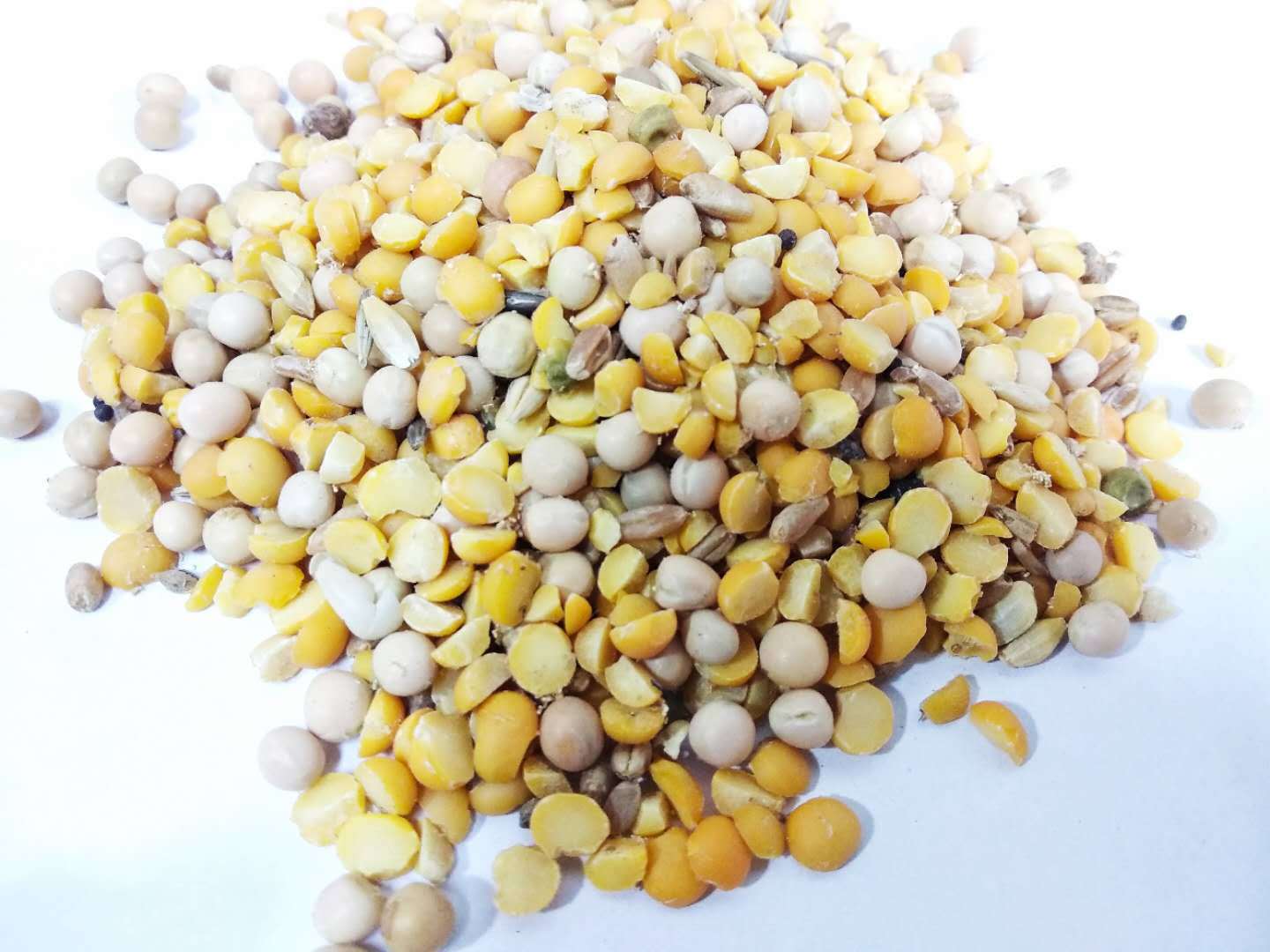 厂家批发豌豆纤维 烘干豆渣 原料豌豆皮 豌豆饲料散装