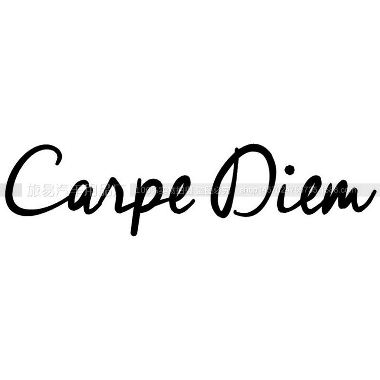 外贸车贴纸 carpe diem car styling door stickers