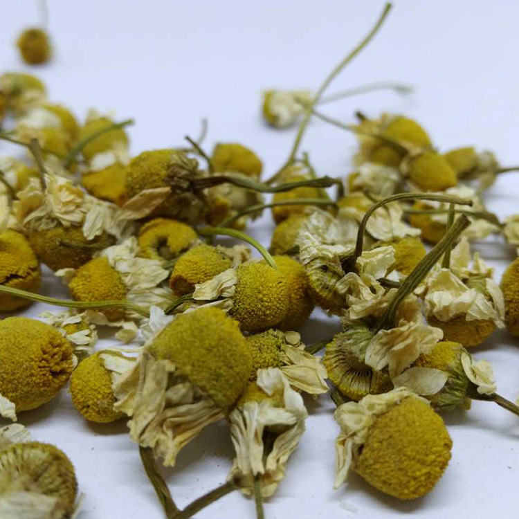 飒枫 洋甘菊 中药材 抓药 药店供货 品质大货 厂家直销