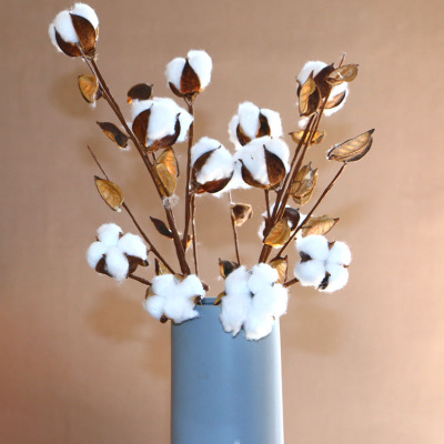 跨境货源干花棉花枝 棉花壳棉花瓣棉花花束圣诞节装饰品工厂批发