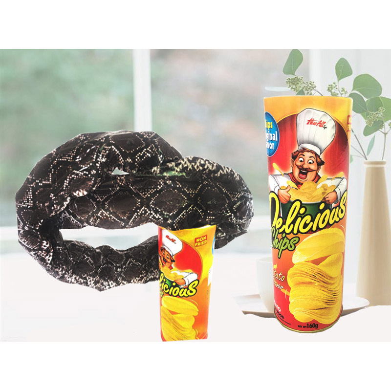 薯片蛇 弹跳蛇抖音 吓一跳整盅玩具愚人学生礼物 弹跳整人薯片蛇