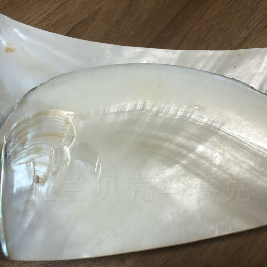 00 品牌 圣兰 是否进口 否 材质 贝壳 形状 贝壳形状 颜色 天然色