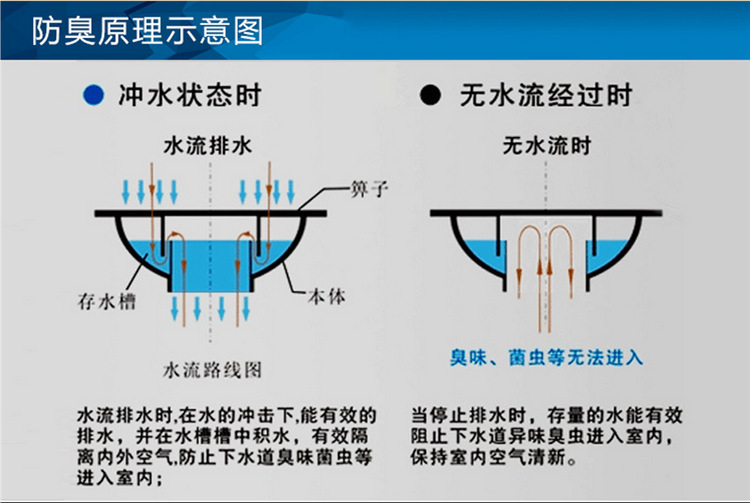 博尔顺 2厘条纹地漏不锈钢 阳台浴室防臭防虫地漏 批发工程地漏