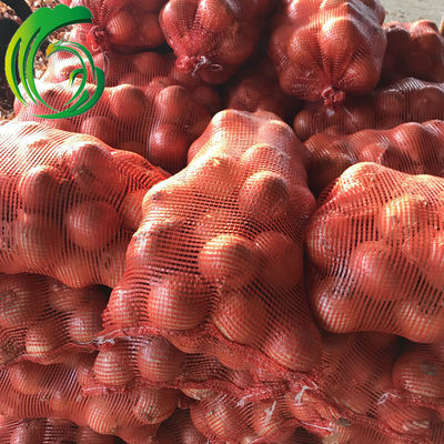 2018年保鲜带皮甘肃小黄葱 生产商 出口 欧洲 东南亚