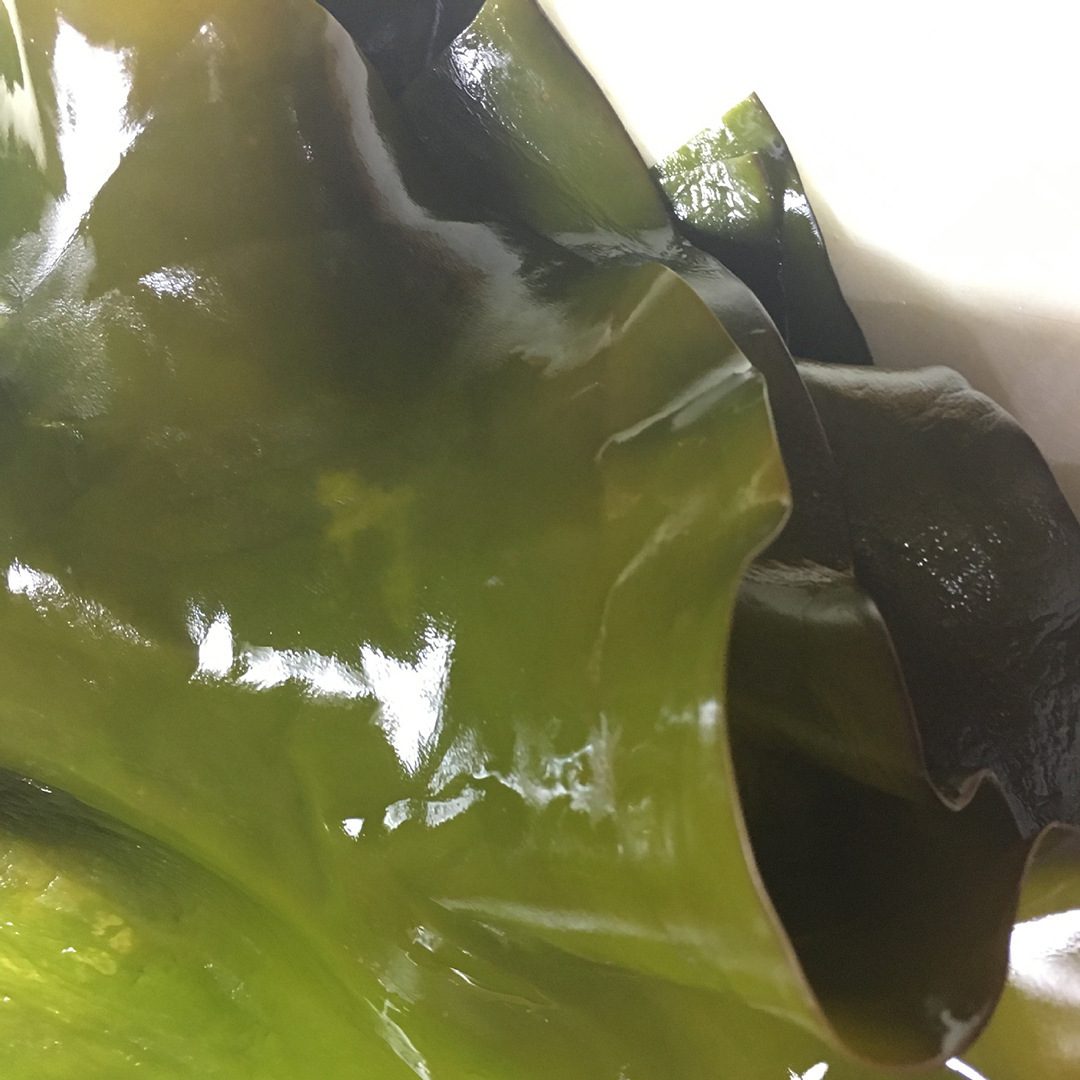 2018跑江湖地摊热卖新干海带皮散装称重厂家直销批发优质干货海带