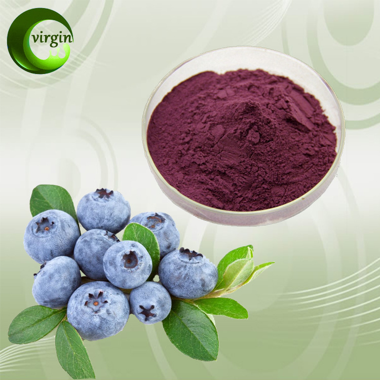 厂家直销 蓝莓花青素25% 蓝莓提取物 优质蓝莓萃取物 现货包邮
