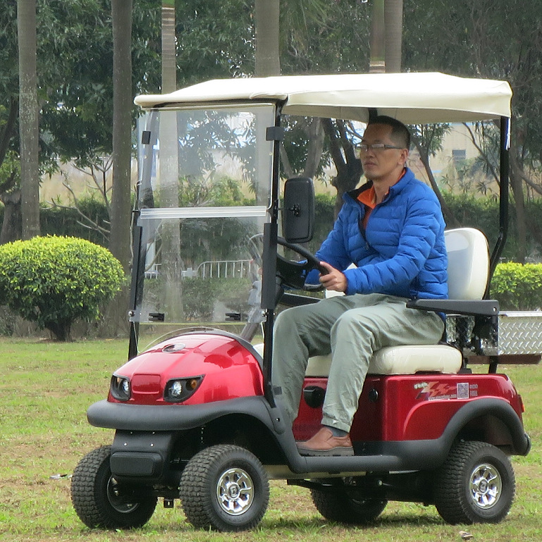 广西小型两座双人电动观光车