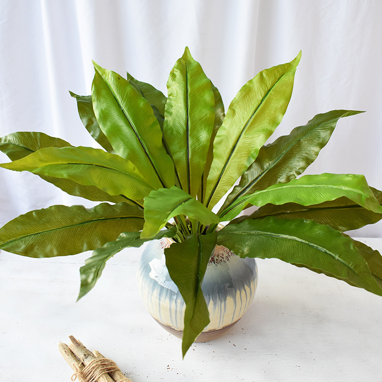 手感大阔叶鸟巢蕨波斯蕨类绿色仿真植物墙配材过胶叶手感叶子把束