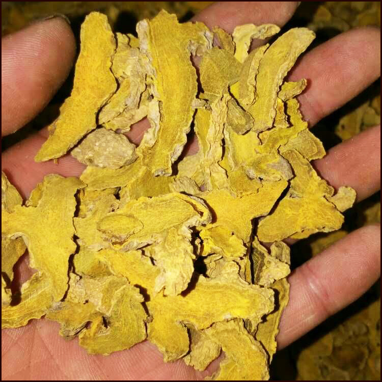 供应大货干姜黄中药材姜黄片 姜黄批发各种中药材姜黄